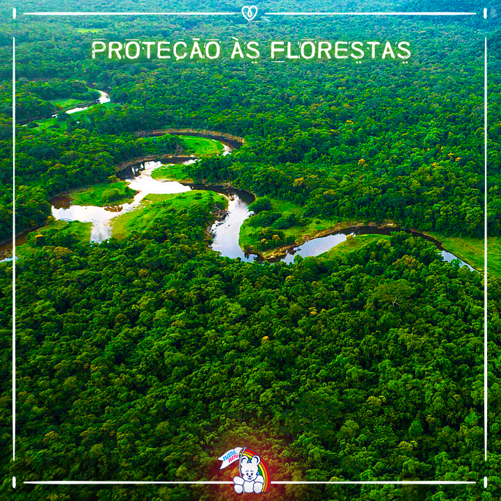 Dia de proteção às florestas